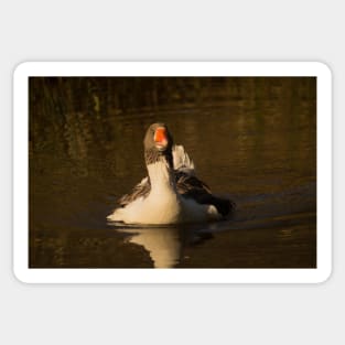 rbs goose Sticker